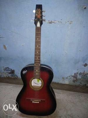 Hobner acoustic guitar with its case