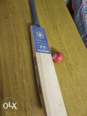 Official cricket bat and ball