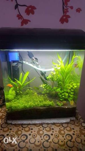1.2ft moulded planted tank, with heater, filter,