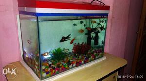 1.8 FT 0.1 Inch Fish Tank Only 1.month use urgent