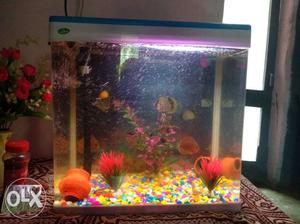 2/2 aquarium with LED light,filter and scenery in