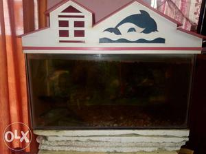 2×3 fish tank with motor with four shark fishes