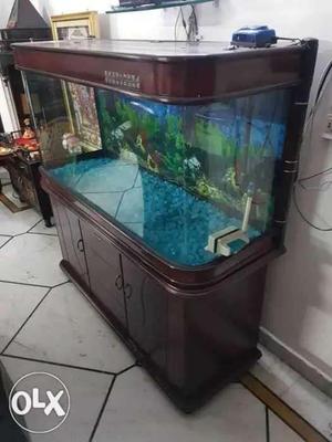 6 feet Aquarium. with imported stones complete
