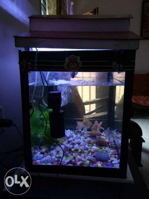 Aquarium with filter and led lights