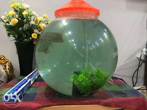 Big fish bowl with cover for sale! cheap rate!