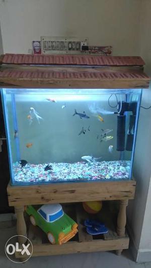 Big fish tank with all accessories sale along
