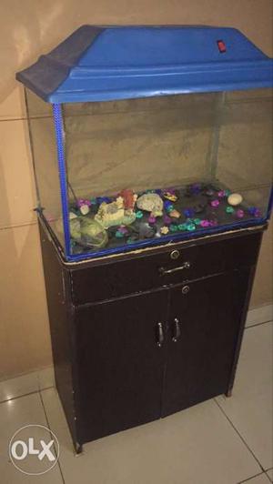 Clear Fish Tank And Brown Wooden Stand