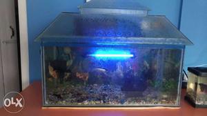 Complete Aquarium set with lights, Filter, Air
