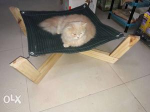 Dog and cat beds for good health for pet animals