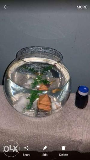 Empty fish bowl urgent sale only 3 left