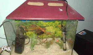 Fish Aquarium with filter, Hiter, stone atc. size