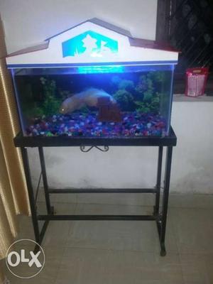 Fish Tank with full set Filter light stand cover