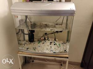 Fish aquarium with purifier, heater and iron with