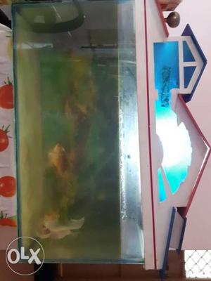 Fish tank for sale with 3 gold fish and oxygen