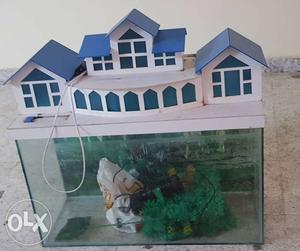 Fish tank with all motor accessories