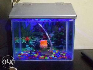 Fish tank with all sate