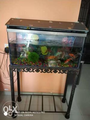 Fish tank with fishes and stand,decorated.34"