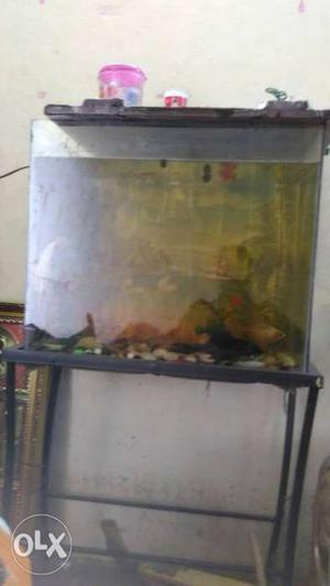 Fishtank for sale 500rs only tank