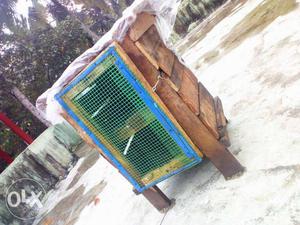 Fully wooden pegion nest only 1week used