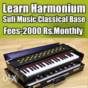 Learn harmonium (no home tuitions)