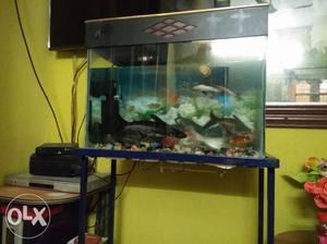 New aquarium and stand ,and 1 feet shark