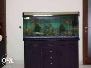 Only aquarium for sale not fishes and decorating