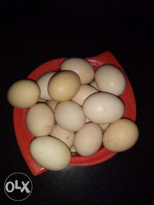 Per piece 25Karimkozi egg muttakal