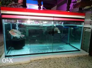 Want to sell my 2 ft aquarium with head