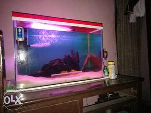 Want to sell my 2fit aquarium only 2 months old