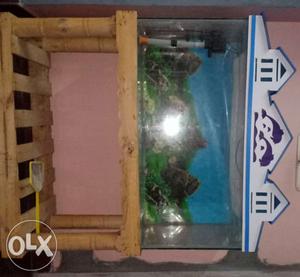 White And Blue House-framed Fish Tank
