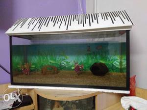 3 feet fish tank with 15kg golden sand 2 trees