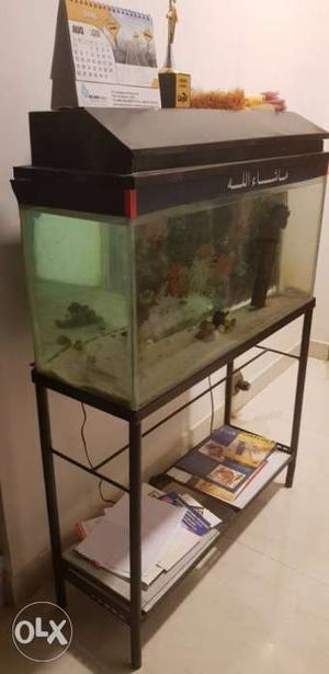 Fish tank for sale 3 by 1 no bargain final price