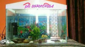 Fish tank with floron fish with 2 motors and top