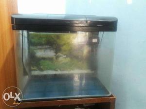 Fish tank with oxygen pipe
