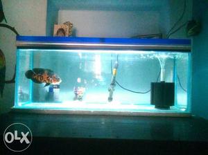 Long Fish tank just 6 month old. Very urgent. 5 kg stone