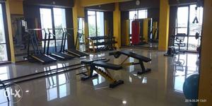 Black And Yellow Inversion Table