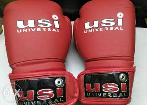 USI Boxing Gloves, 10 OZ,(one's used)