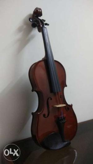 Unused Violin Hofner As060