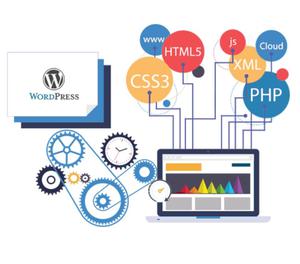 Web design and development, Website designer and developer