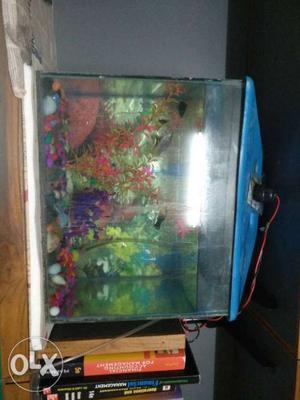 1 ft aquarium with dome and light nly fr 500 last