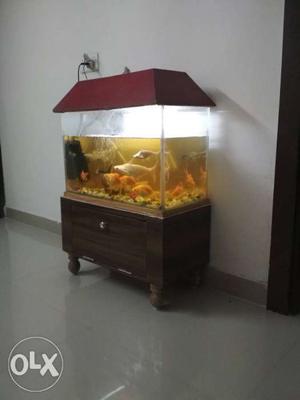 2 feet compelete fish aquarium for sell with