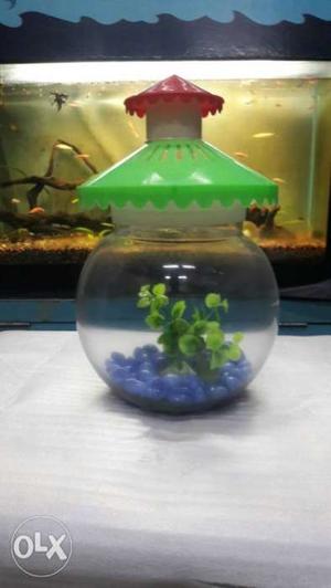 8 inch fish bowl with top cover and setting