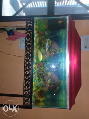 A 3ft aquarium with good condition and also with