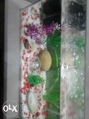 A complete fish tank with all accessories and food