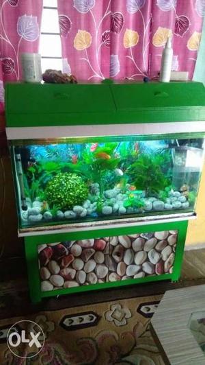 Aquarium with wooden hood and Woden shoe stand in