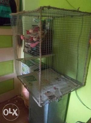 Bird cage selling