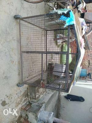 Dog cage 6month old
