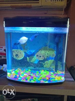 Fish Home With Filter Pump With LED With 4 Fish