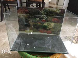 Fish Tank with pump and pebbles.
