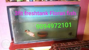Fish tank & Floran fish